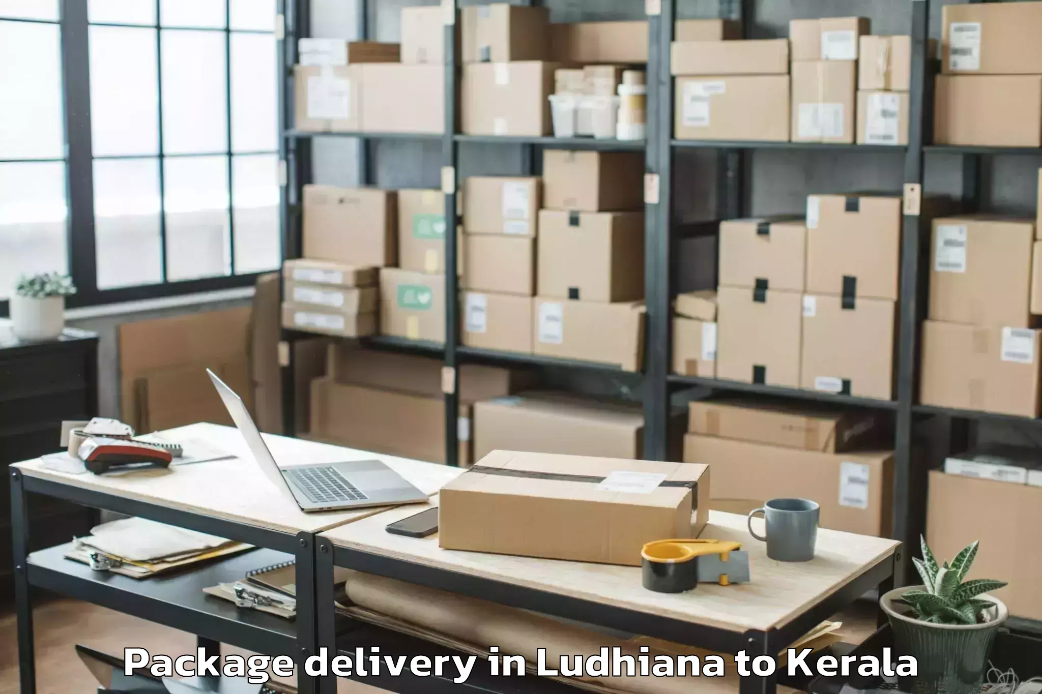 Easy Ludhiana to Nenmara Package Delivery Booking